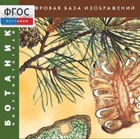 Ботаника. Микрофотографии. (Цифровая база изображений) - fgospostavki.ru - Мурманск