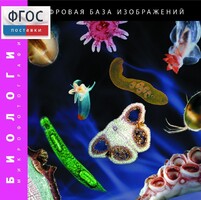 Биология. Микрофотографии. (Цифровая база изображений) - fgospostavki.ru - Мурманск