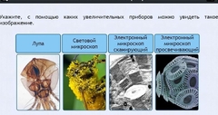 Интерактивные курсы. Биология 5 класс. Расширенный - fgospostavki.ru - Мурманск
