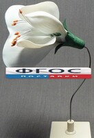 Модель "Цветок гороха" - fgospostavki.ru - Мурманск