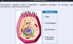 Интерактивные курсы. Биология 8 класс. Базовый - fgospostavki.ru - Мурманск