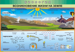 Таблица "Возникновение жизни на земле" (100х140 сантиметров, винил) - fgospostavki.ru - Мурманск