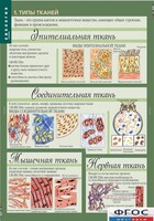 Комплект таблиц. Биология 8-9 класс. Человек. - fgospostavki.ru - Мурманск