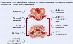 Интерактивные курсы. Биология 9 класс. Расширенный. - fgospostavki.ru - Мурманск