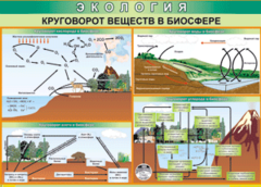 Таблица "Круговорот веществ в биосфере" (100х140 сантиметров, винил) - fgospostavki.ru - Мурманск