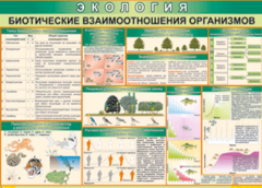 Таблица "Биотические взаимоотношения организмов" (100х140 сантиметров, винил) - fgospostavki.ru - Мурманск