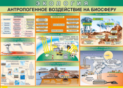 Таблица "Антропогенное воздействие на биосферу" (100х140 сантиметров, винил) - fgospostavki.ru - Мурманск