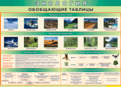 Таблица "Экология. Обобщающие таблицы" (100х140 сантиметров, винил) - fgospostavki.ru - Мурманск