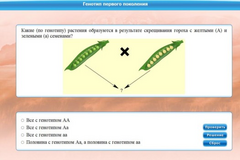 Интерактивные курсы. Биология 11 класс. Базовый. - fgospostavki.ru - Мурманск