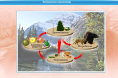 Интерактивные курсы. Биология 7 класс. Базовый. - fgospostavki.ru - Мурманск