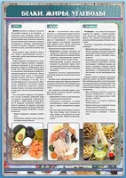 Стенд "Белки. Жиры. Углеводы" - fgospostavki.ru - Мурманск