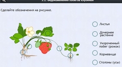 Интерактивные курсы. Биология 7 класс. Расширенный. - fgospostavki.ru - Мурманск