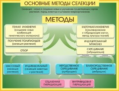 Стенд "Методы селекции и биотехнологии" - fgospostavki.ru - Мурманск