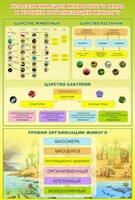 Стенд "Классификация животного мира" - fgospostavki.ru - Мурманск
