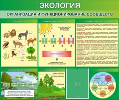 Стенд "Экология. Организация и функционирование сообществ" - fgospostavki.ru - Мурманск