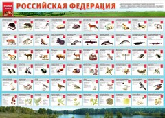 Стенд "Красная книга РФ" - fgospostavki.ru - Мурманск
