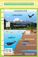 Стенд "Строение биосферы" - fgospostavki.ru - Мурманск