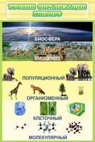 Стенд "Уровни организации живого" - fgospostavki.ru - Мурманск