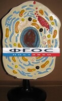 Модель "Клетка животного" - fgospostavki.ru - Мурманск