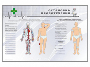 Электрифицированный стенд "Остановка кровотечения" - fgospostavki.ru - Мурманск