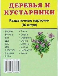 Раздаточные карточки "Деревья и кустарники" - fgospostavki.ru - Мурманск