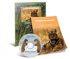 Электронное наглядное пособие «Млекопитающие» - fgospostavki.ru - Мурманск