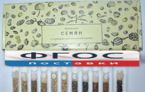 Коллекция "Семена к гербарию для начальной школы" (11 видов) - fgospostavki.ru - Мурманск