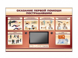 Многофункциональный интерактивный стенд-тренажер "Оказание первой помощи пострадавшим" для учащихся общеобразовательных учреждений - fgospostavki.ru - Мурманск