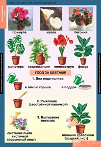 Комплект таблиц. Окружающий мир 1 класс. - fgospostavki.ru - Мурманск