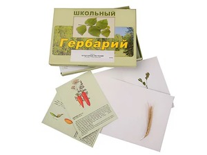 Гербарий "Культурные растения" (30 видов, с иллюстрациями) - fgospostavki.ru - Мурманск