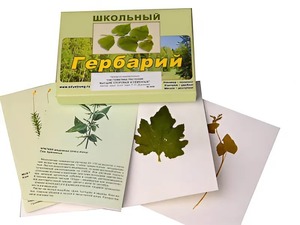Гербарий "Систематика растений. Высшие споровые и семенные" (раздаточный) - fgospostavki.ru - Мурманск