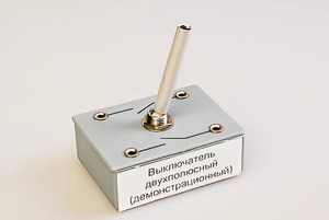 Выключатель двухполюсный (демонстрационный) - fgospostavki.ru - Мурманск