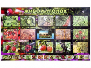 Комплект оборудования "Живой уголок" (растения) с тифлопереводом и сурдокомментариями - fgospostavki.ru - Мурманск
