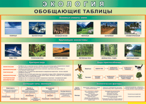 Таблица "Экология. Обобщающие таблицы" (100х140 сантиметров, винил) - fgospostavki.ru - Мурманск