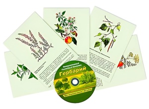 Интерактивный наглядный комплекс "Гербарий "Для начальной школы" - fgospostavki.ru - Мурманск