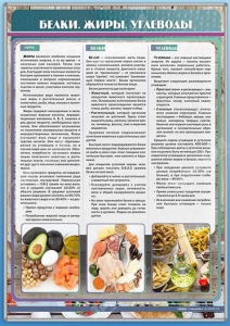 Стенд "Белки. Жиры. Углеводы" - fgospostavki.ru - Мурманск