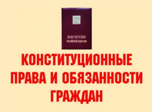 Комплект плакатов "Конституционные права и обязанности граждан" - fgospostavki.ru - Мурманск