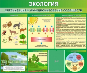 Стенд "Экология. Организация и функционирование сообществ" - fgospostavki.ru - Мурманск