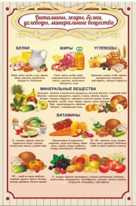 Стенд "Витамины, жиры, белки" - fgospostavki.ru - Мурманск