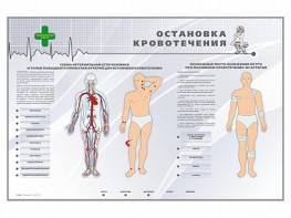 Электрифицированный стенд "Остановка кровотечения" - fgospostavki.ru - Мурманск