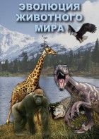 DVD "Эволюция животного мира" - fgospostavki.ru - Мурманск