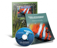 Электронное наглядное пособие «Рыбы. Земноводные. Пресмыкающиеся» - fgospostavki.ru - Мурманск