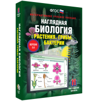 Наглядная биология. 6 класс. Растения. Грибы. Бактерии - fgospostavki.ru - Мурманск