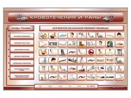 Трехсекционный базовый комплект "Травмы. Кровотечения. Ожоги" для учащихся общеобразовательных учреждений - fgospostavki.ru - Мурманск