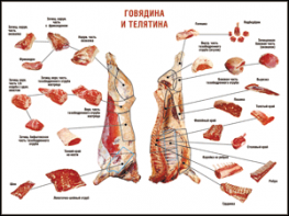Таблица "Правила разделки мясных туш. Говядина и телятина" (100х140 сантиметров, винил) - fgospostavki.ru - Мурманск