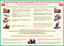 Таблица "Порядок действий при внезапной смерти" (100х140 сантиметров, винил) - fgospostavki.ru - Мурманск