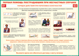 Таблица "Порядок действий при переломах конечностей" (100х140 сантиметров, винил) - fgospostavki.ru - Мурманск