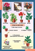 Комплект таблиц. Окружающий мир 1 класс. - fgospostavki.ru - Мурманск