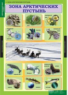 Комплект таблиц. Окружающий мир 4 класс. - fgospostavki.ru - Мурманск