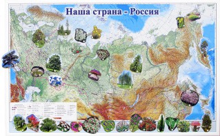 Магнитные карточки "Растения" - fgospostavki.ru - Мурманск
